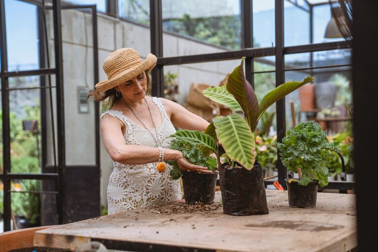 Tips for Creating a Sustainable and Enjoyable Home Garden